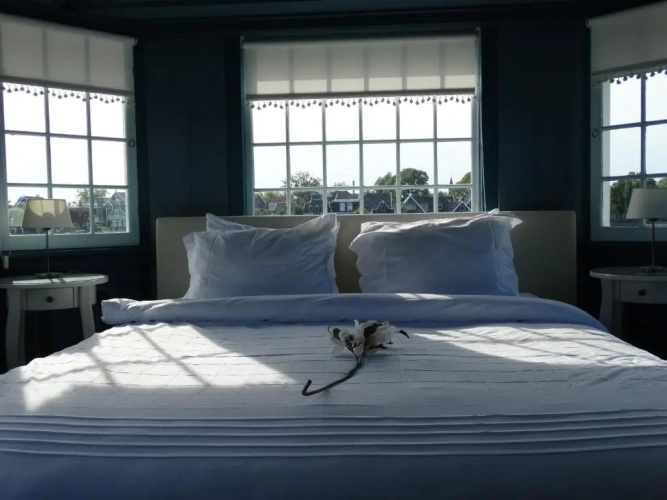 1 Bedroom Suite with view