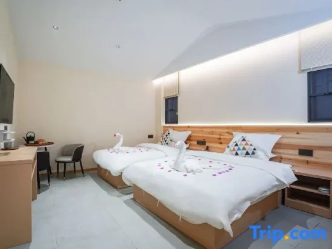 Deluxe Twin Family room