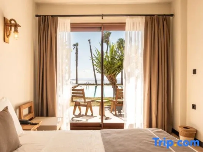Deluxe Single room with pool view