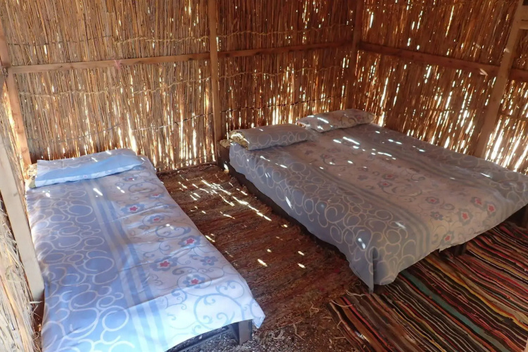 Bedouin Star (Ras shetan area)