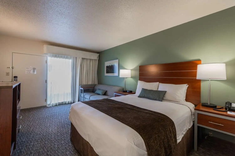 Pet Friendly Double room