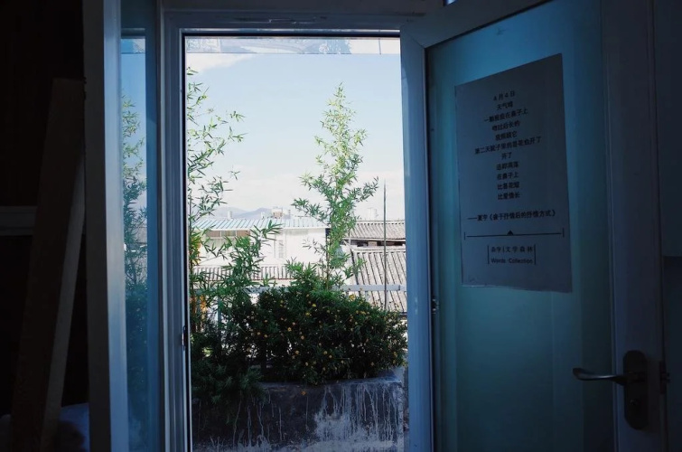 Dali Words Collection Hostel