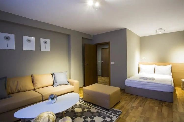 2 Bedrooms Standard Apartment with mountain view