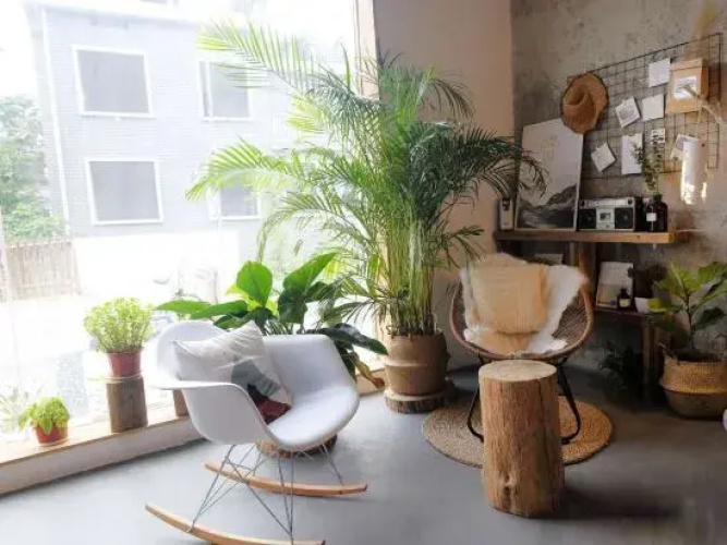 Meow Houzzz