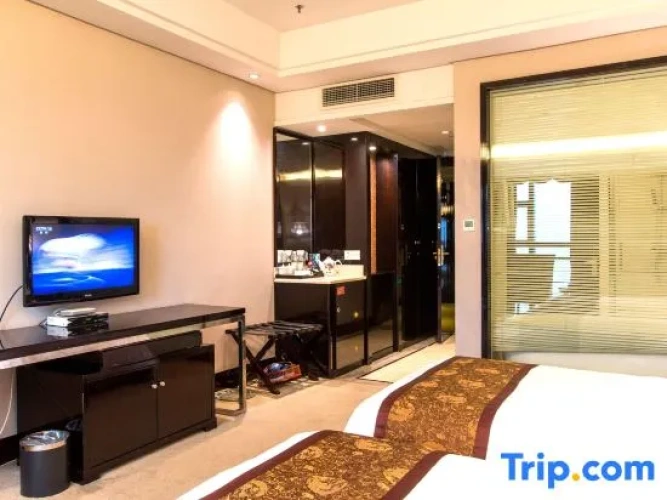 Standard Twin room with city view