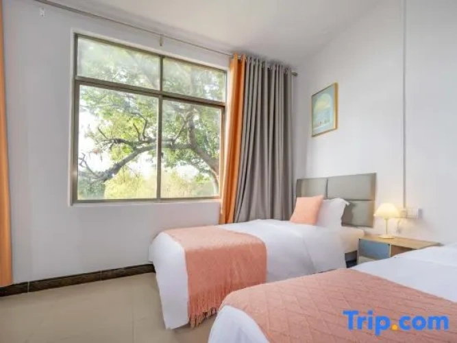 Standard Twin room with view