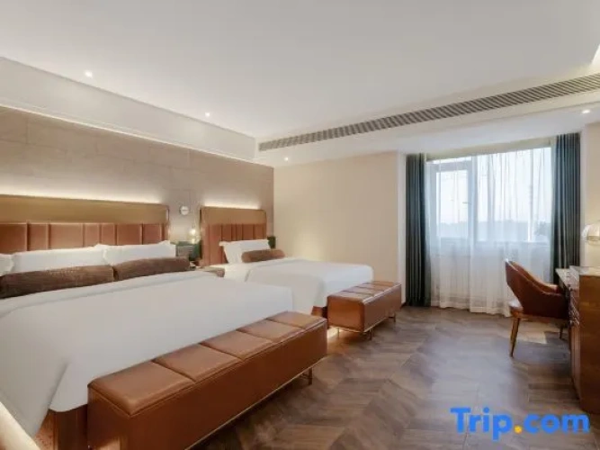 Standard Family Suite