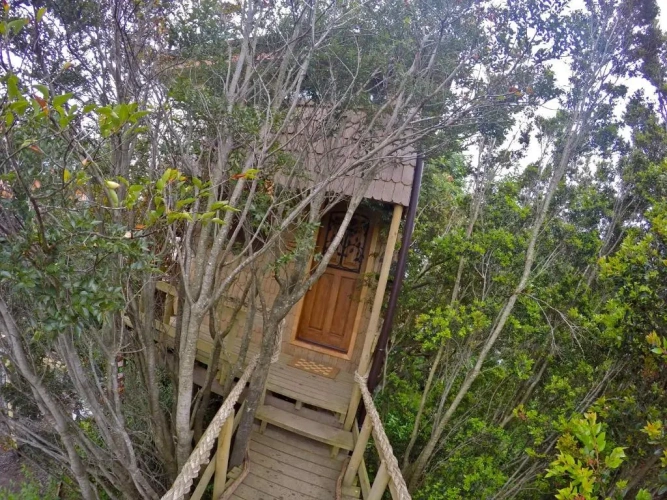Cottage