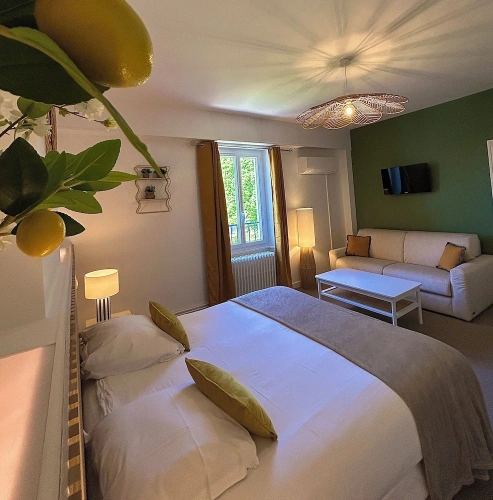 Standard Double room with garden view