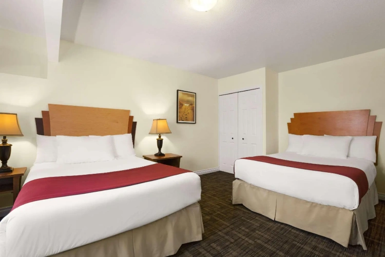 Quadruple Suite