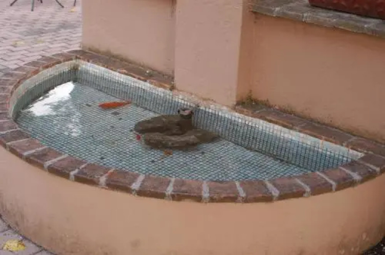 Albergo el Rancho
