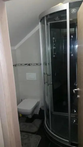 Apartment Borovnica Rogla
