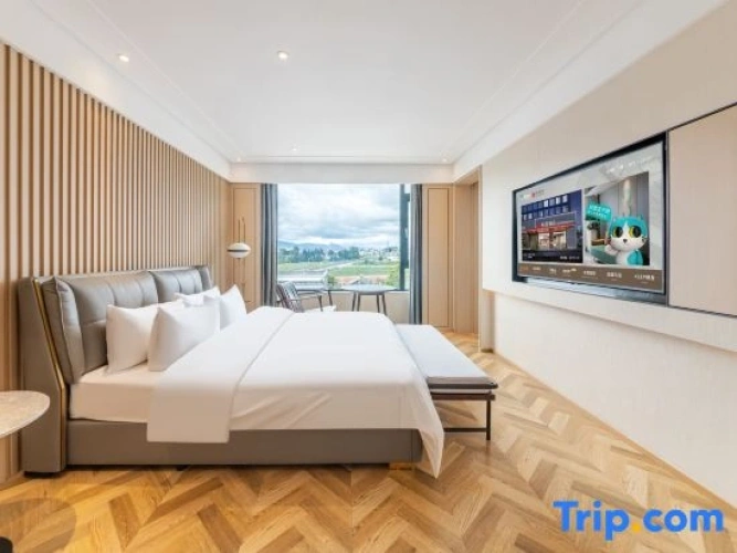 Business Double room with mountain view