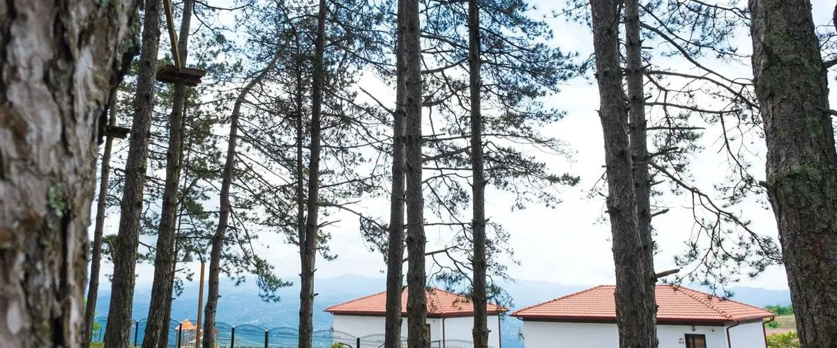 Ortel Inn