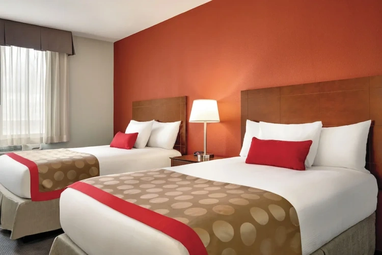 Comfort Quadruple room