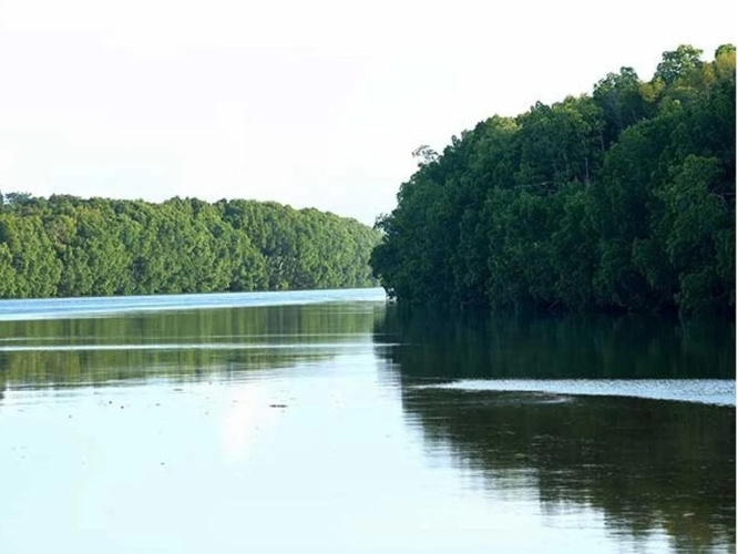 Sipadan Mangrove Resort