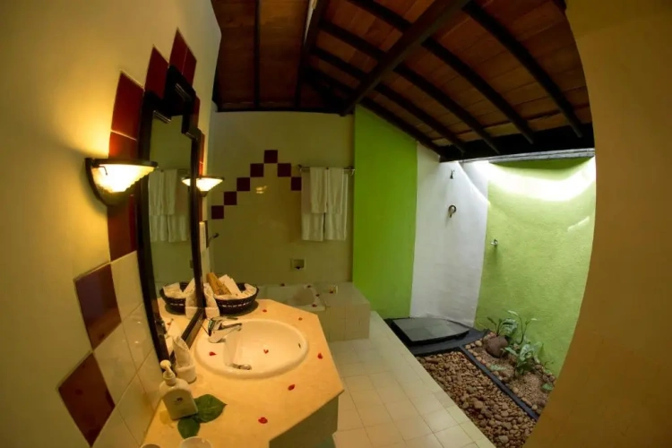 Superior Double room with garden view