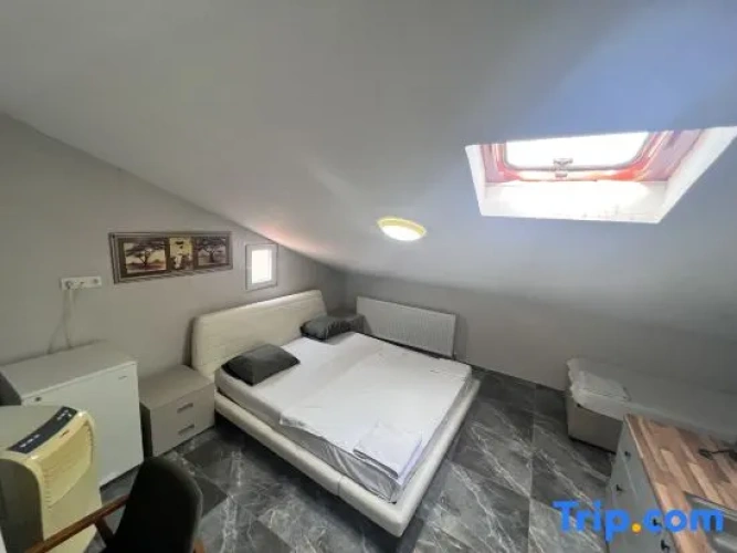 Standard Attic room