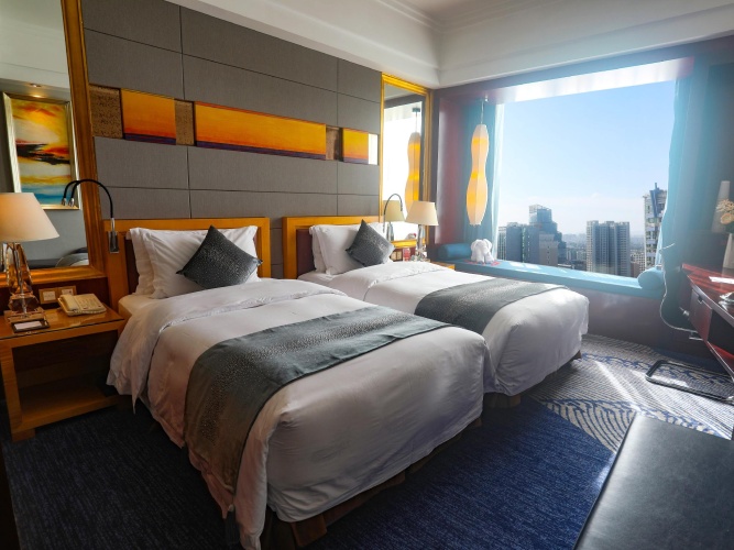 Deluxe Twin room with city view