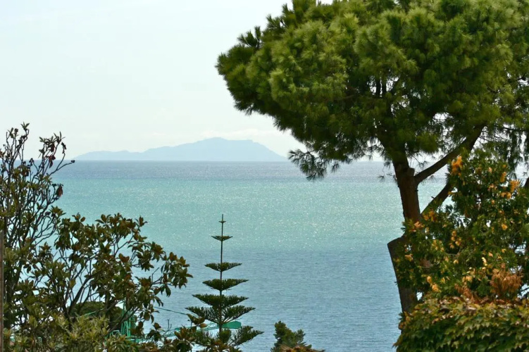 Villa Olga B&B