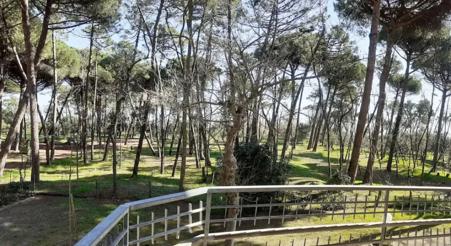 I Velieri Appartamenti