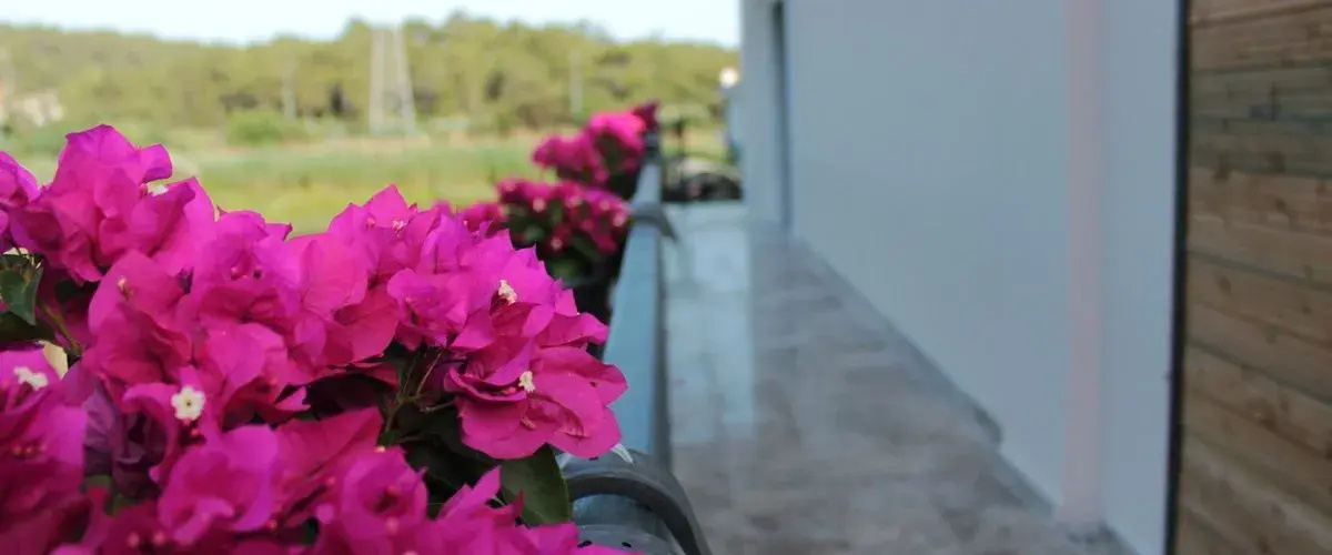 Mila House Muğla