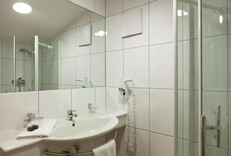 Standard Double room with balcony and with mountain view