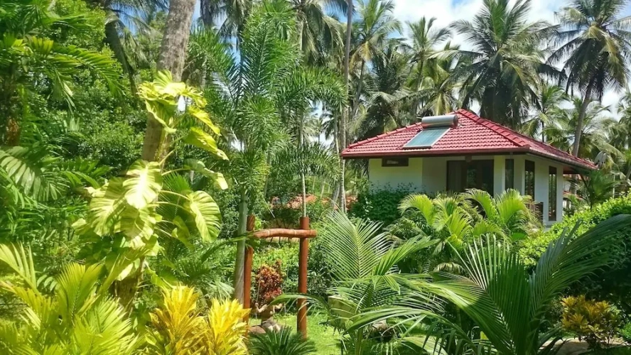 Double Studio with balcony and with garden view