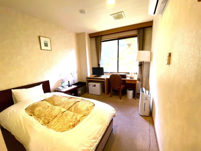 Business Single room