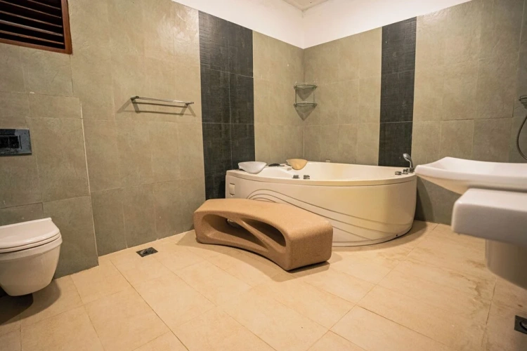 Luxury Suite