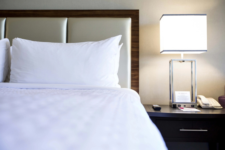 Embassy Suites by Hilton Atlanta Perimeter Center photo 6