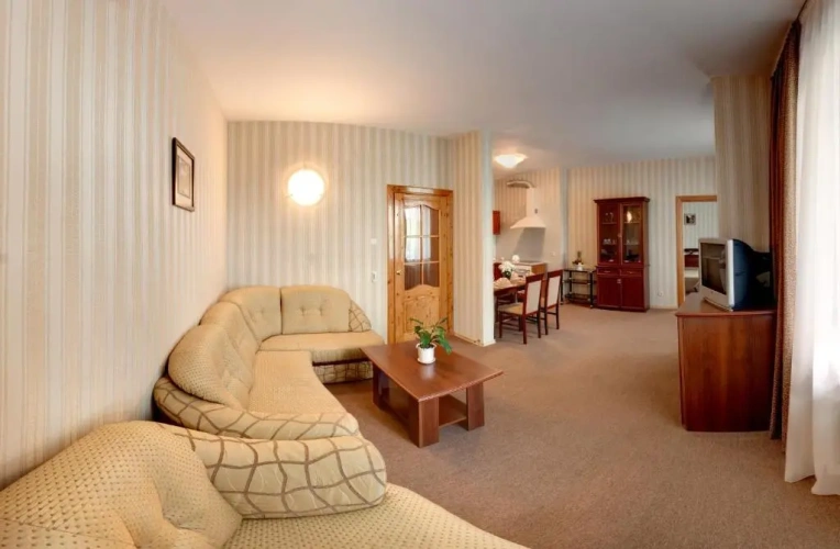 1 Bedroom Suite
