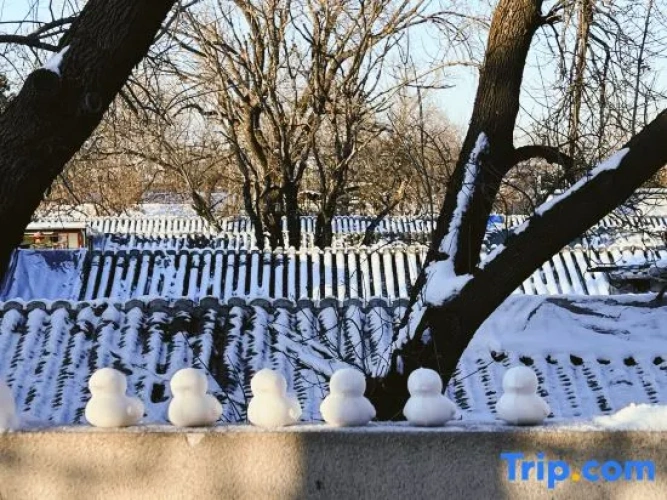 Watermark
