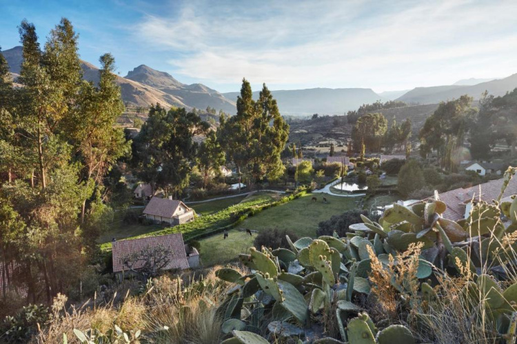 Las Casitas, A Belmond Hotel photo 6