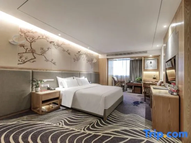 Standard Double room with city view