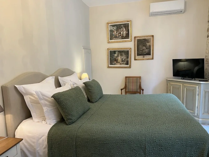Deluxe Double room with garden view