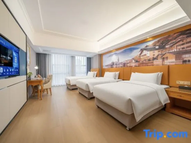 Deluxe Twin Family room
