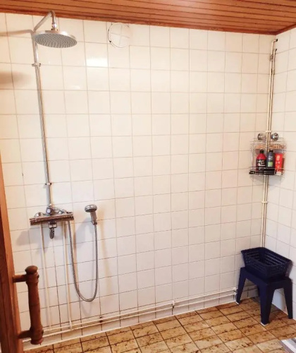 Scandinavian chalet