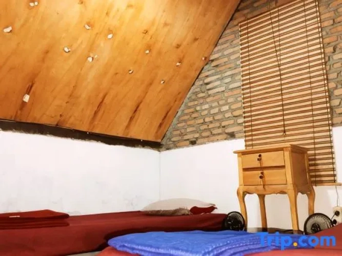 Bed in Dorm (female dorm)