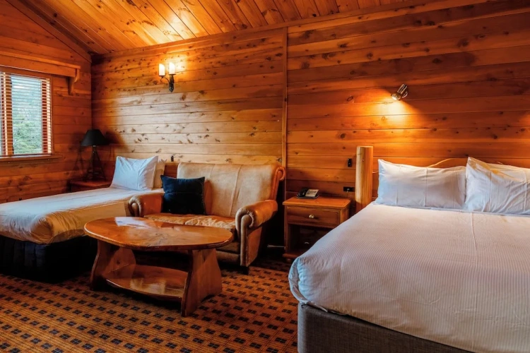 Twin Suite