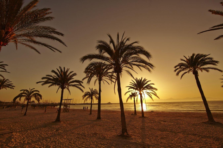 MLL Caribbean Bay photo 23