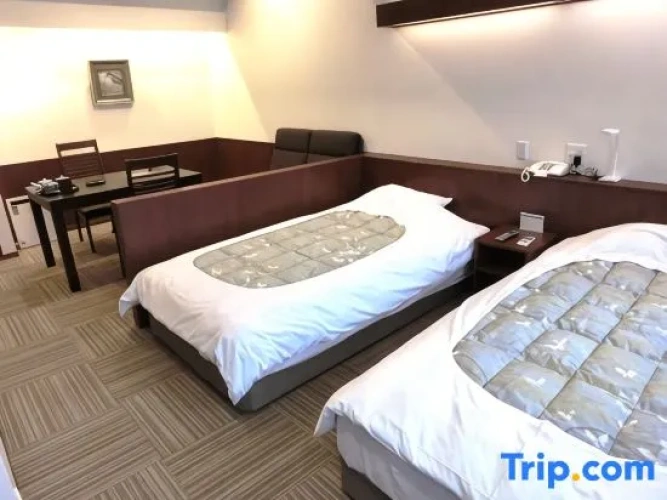 Standard Twin room with city view