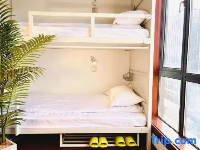 Shenzhen Three Cats Hostel