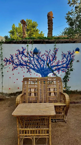 Palma Oasis Hostel