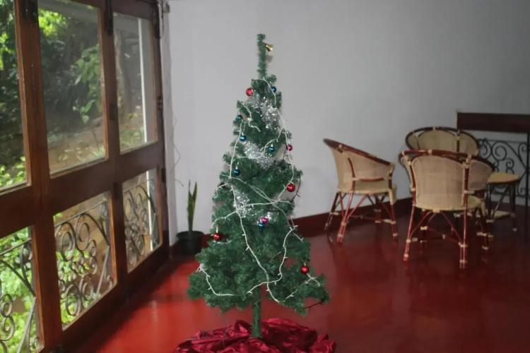 The Best Hostel