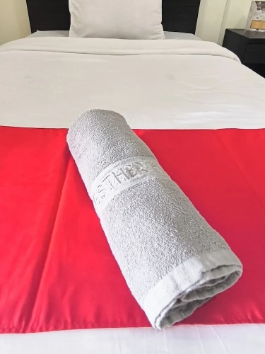 Deluxe Twin room with balcony