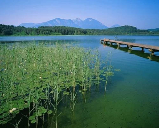 Skorianzhof