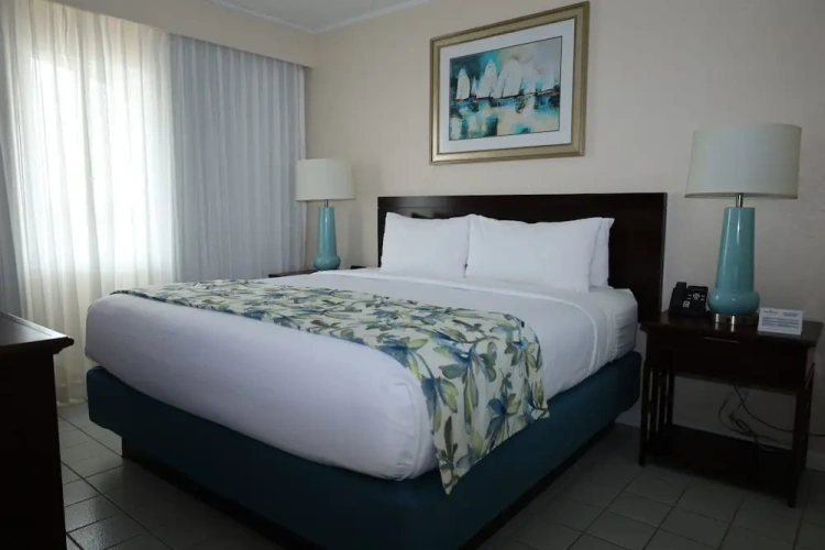 1 Bedroom Suite with garden view