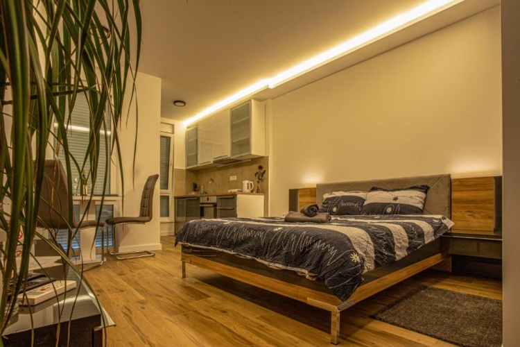1 Bedroom Apartment