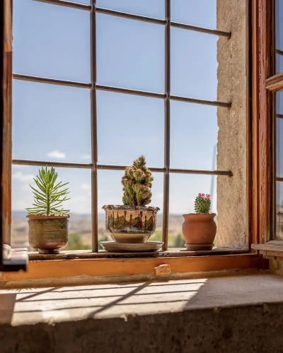 Deluxe room with view